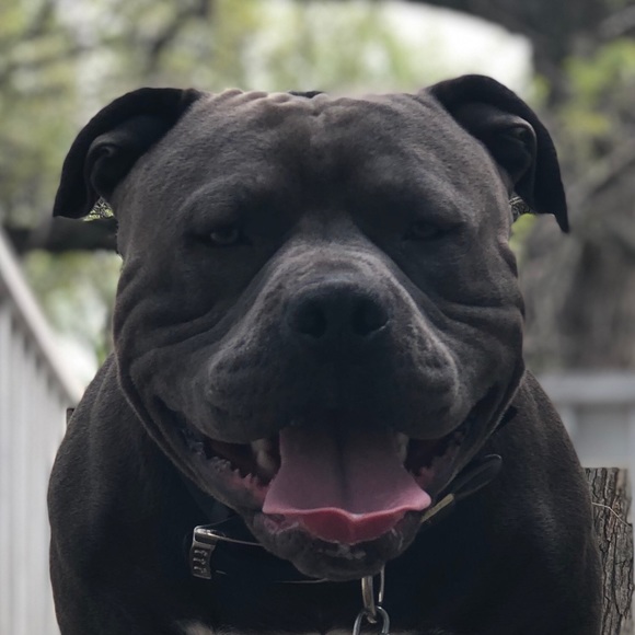 Meet your Posher, Michelle - Picture 8 of 8